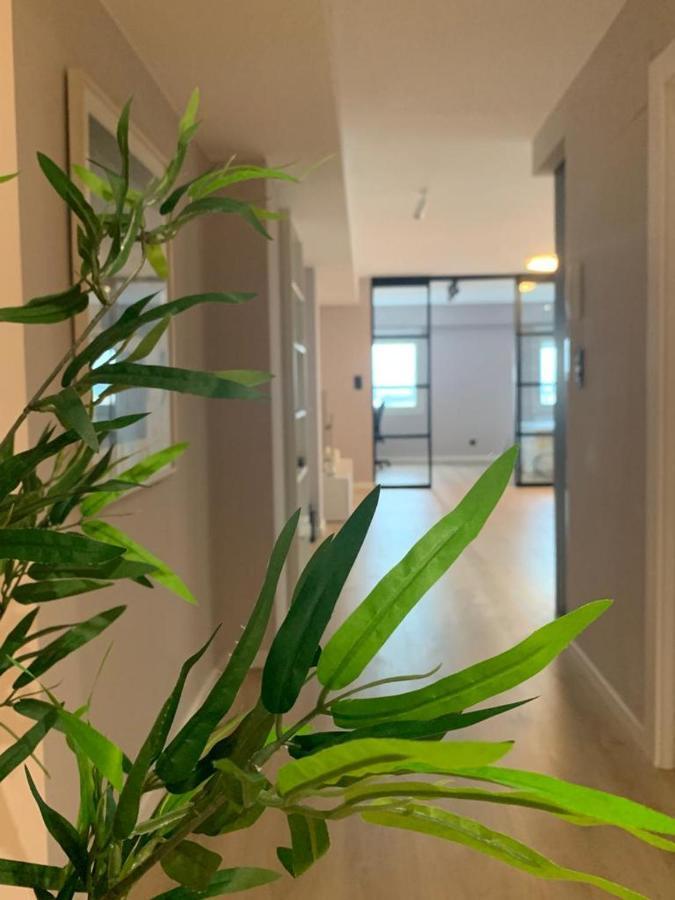 Espectacular Loft Lleno De Luz Y Espacio! Zaragoza Eksteriør bilde